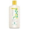 Andalou Naturals, Shampoo, Brilliant Shine, For Strength and Vitality, Sunflower & Citrus, 11.5 fl oz (340 ml)