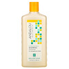 Andalou Naturals, Shampoo, Brilliant Shine, For Strength and Vitality, Sunflower & Citrus, 11.5 fl oz (340 ml)