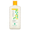 Shampoo, Brilliant Shine, For Strength and Vitality, Sunflower & Citrus, 11.5 fl oz (340 ml)