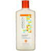 Andalou Naturals, Shampoo, Moisture Rich, For Soft, Smooth Sheen,  Argan Oil & Shea, 11.5 fl oz (340 ml)