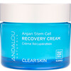 Andalou Naturals, Argan Stem Cell Recovery Cream, Regenerationscreme auf Arganstammzellen-Basis für reinere Haut, 50 ml (1,7 fl. oz.)