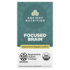 Focused Brain, 90 Capsules