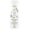 ATTITUDE, Super Leaves Science, Natural Shampoo, Nourishing & Strengthening, Grape Seed Oil & Olive Leaves, 16 oz (473 ml)