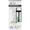 Aura Cacia, مزيج الزيت الأساسي، منقي مهدئ، الأوكالبتوس، 31 أوقية (9.2 مل)