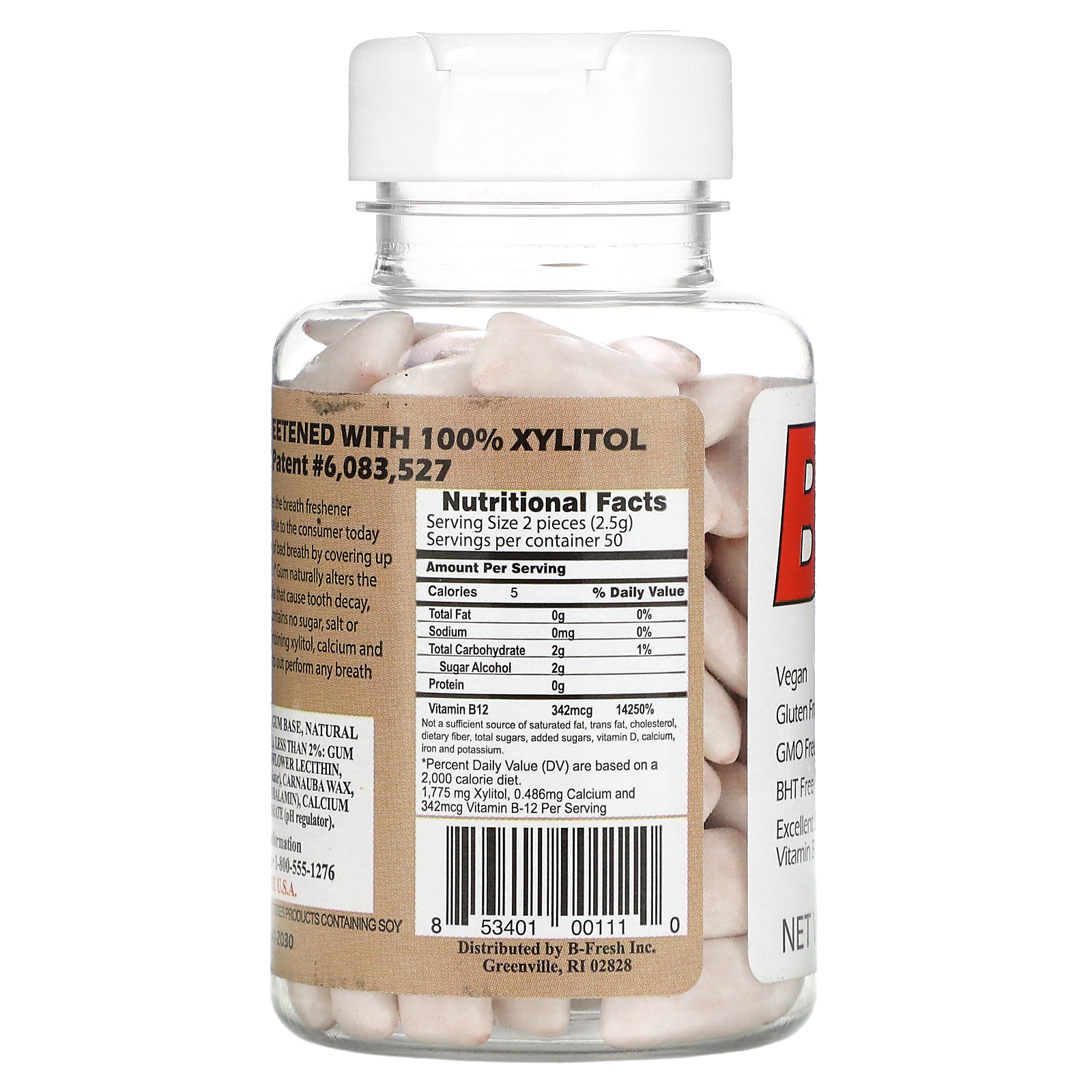 BFresh Inc., Breath Freshening Gum, Cinnamon, 100 Pieces