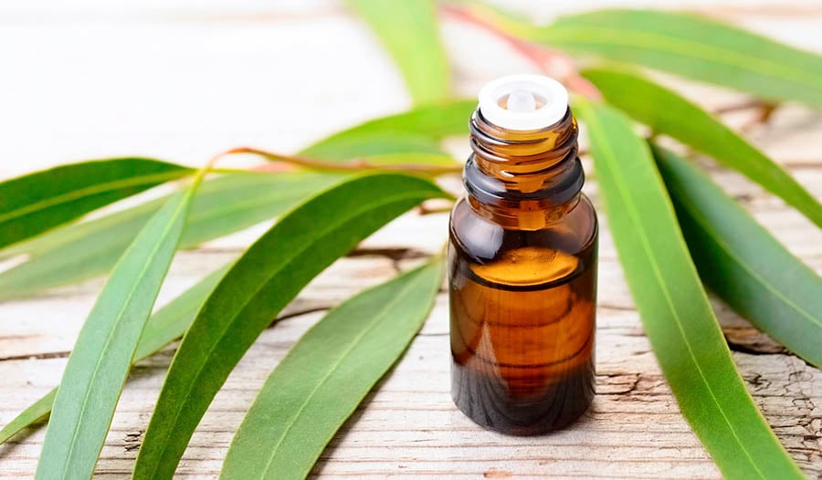 10 Essential Oils for Respiratory Infections