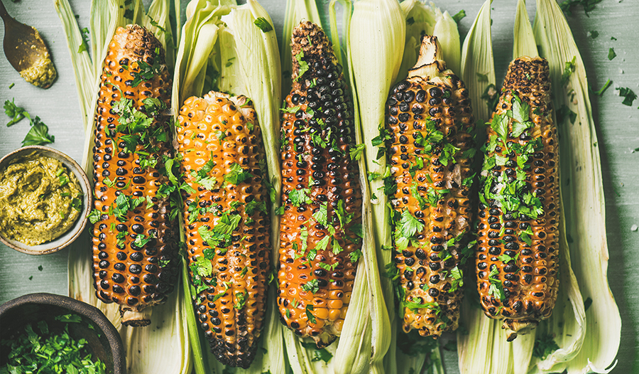 Grilled corn on the cob and cilantro on wooden table