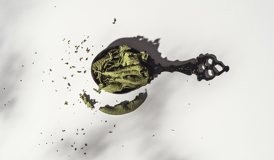 Dried lemon balm herb leaves in spoon on white background.