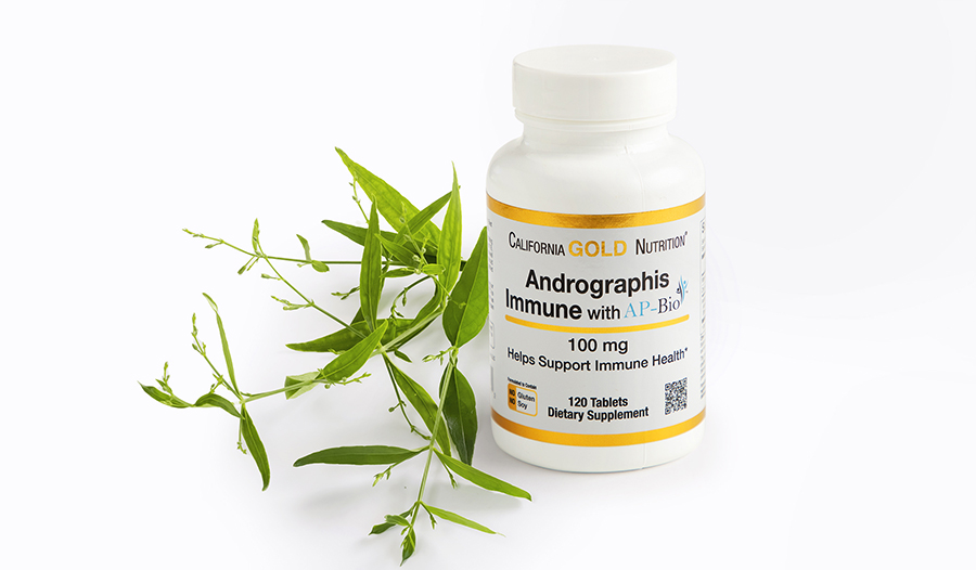 Adrographis supplement and plant on white background