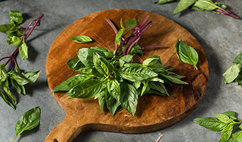 The Benefits of Holy Basil