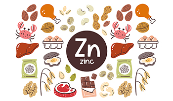 The 6 Best Zinc Food Sources: A Guide to Boosting Your Zinc Intake