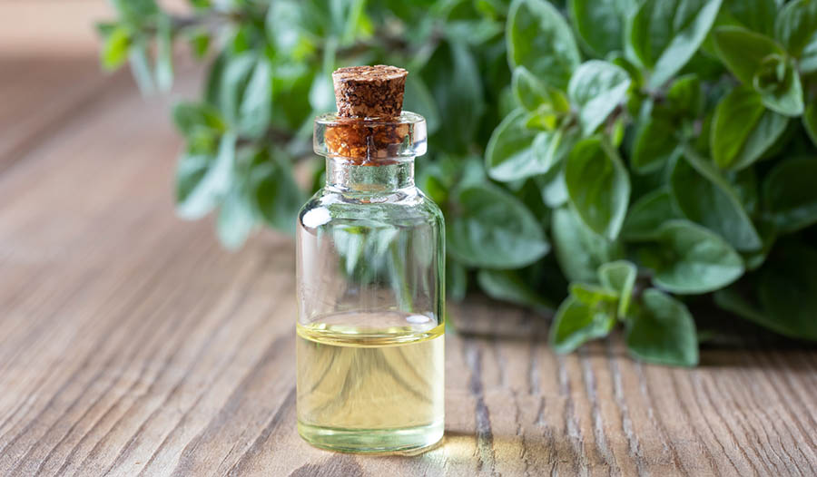 Boost Overall Health With Oregano Oil - Blog - iHerb