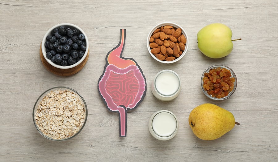 Gut health: digestive tract with foods like milk, nuts, and fruit on table