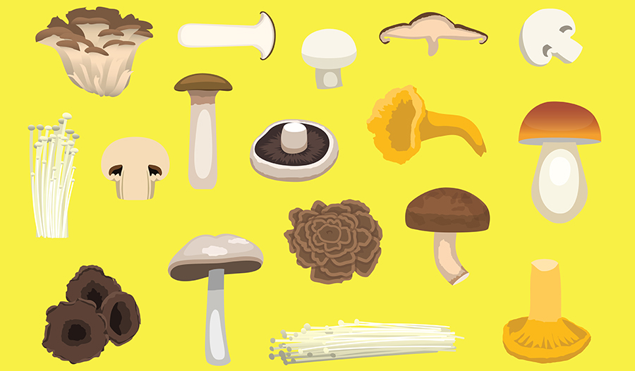 different types of mushroom vector art with yellow background