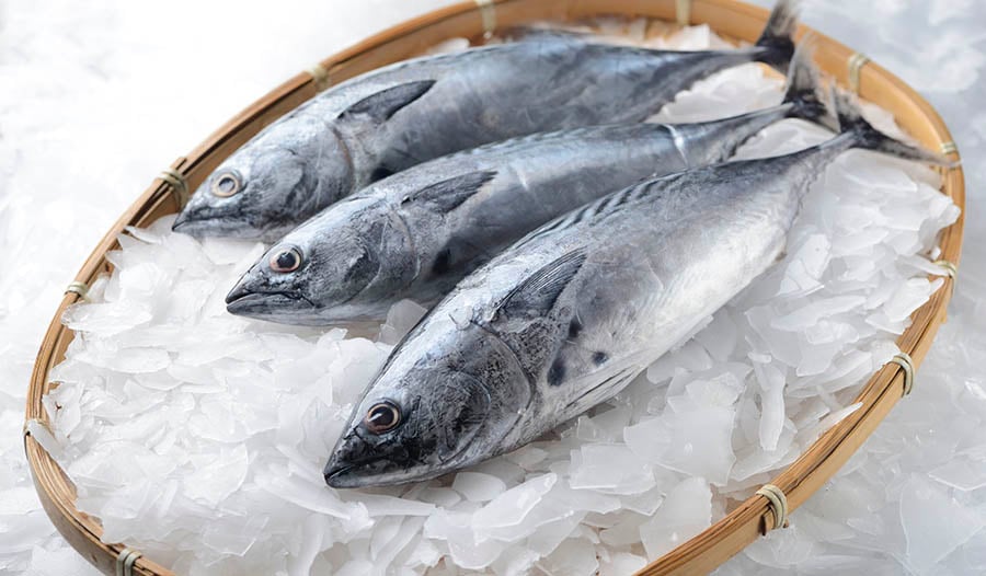 Fish Peptides and Cardiovascular Health