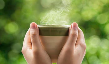 Fungiology Reishi Hot Tea Recipe