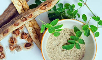 Obtenez les bienfaits sur la santé du moringa avec ces trois recettes