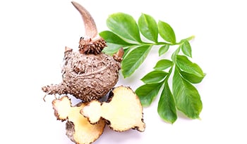 Glucomannan: Exploring Top 4 Health Benefits and Uses