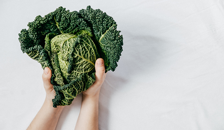 Green leaves of fresh kale in hands against white background