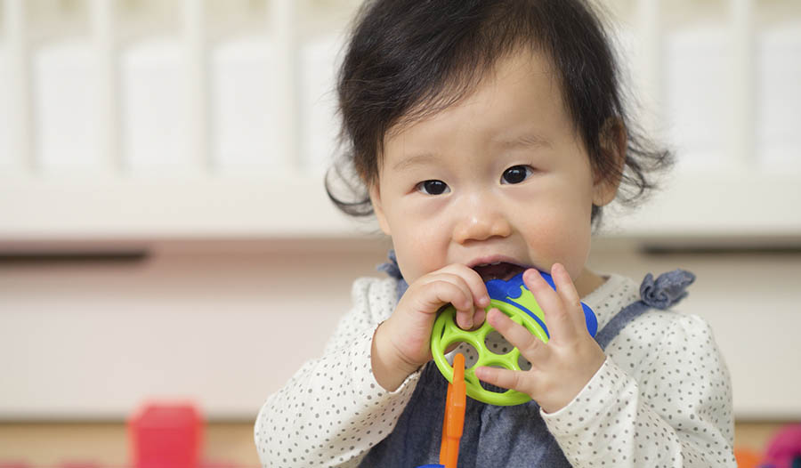 Grain-Free Homemade Teething Biscuits Recipe