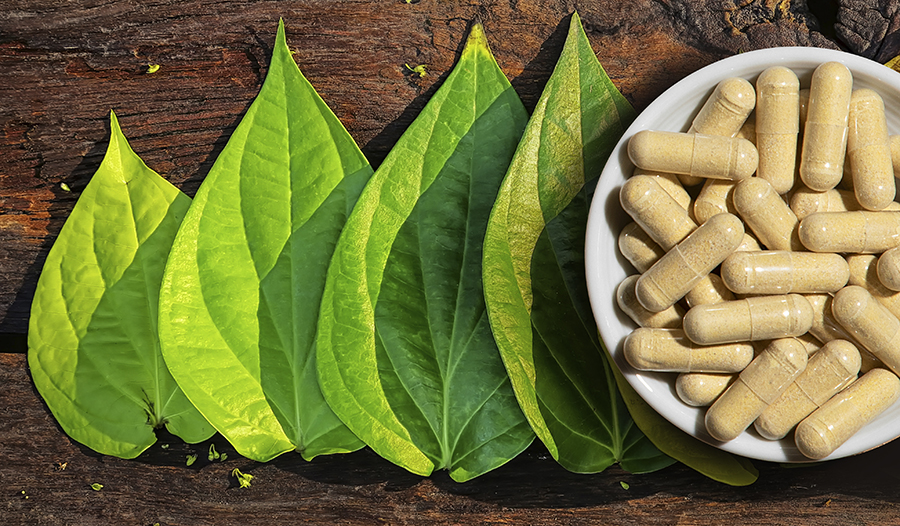 Kava Kava—A Natural Herb With Promising Anti-Anxiety Effects｜ iHerb блог