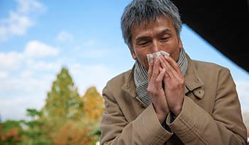 Evite a sinusite e mantenha seus seios nasais saudáveis