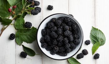 10 maneras de obtener más fibra en la dieta Keto