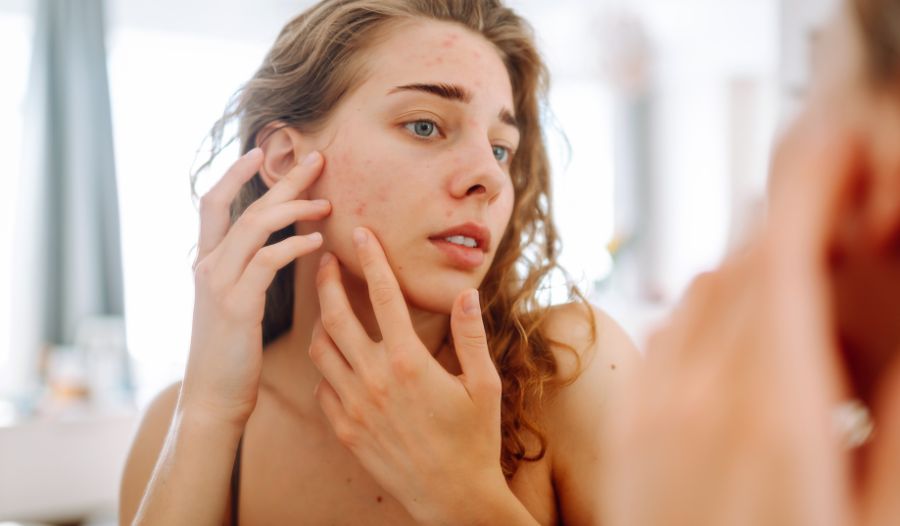 Ciclo de vida de una espineta: qué productos usar y cuándo