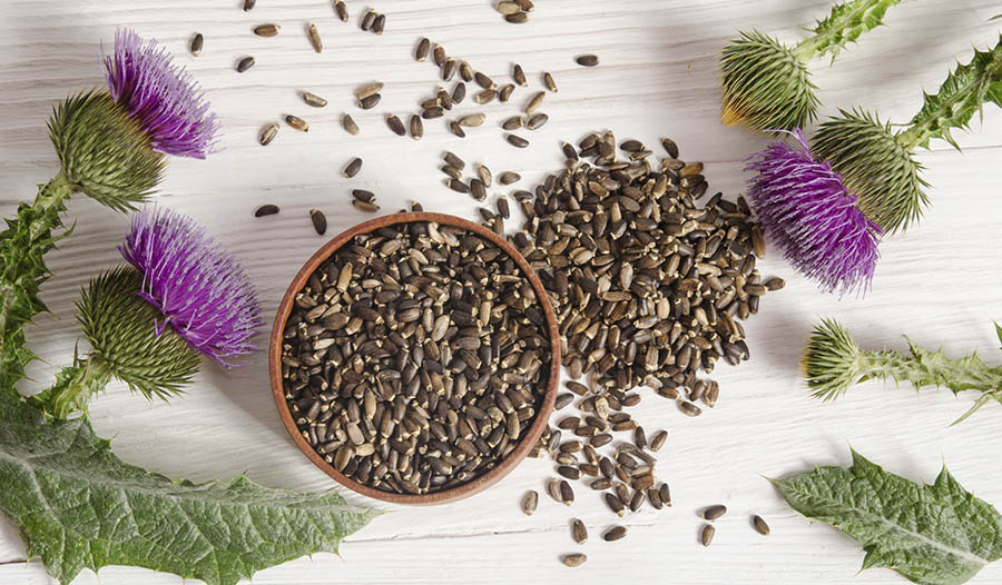 Milk Thistle Extract and Detoxification