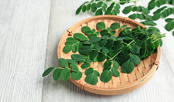 Moringa en polvo: 4 increíbles beneficios, qué buscar, + Ideas de recetas