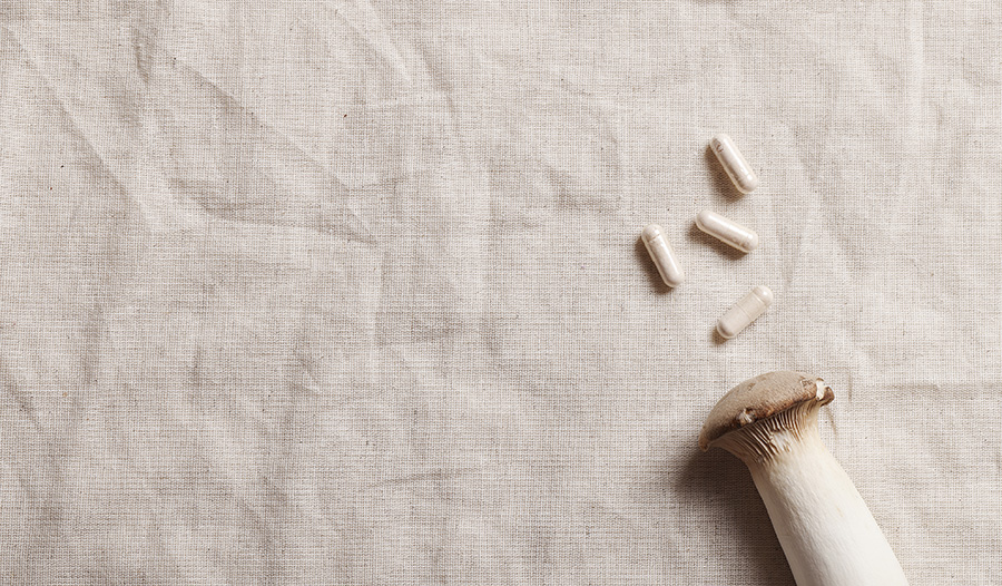 Gomba-kiegészítők: A Modern Wellness Múltja és Jövője