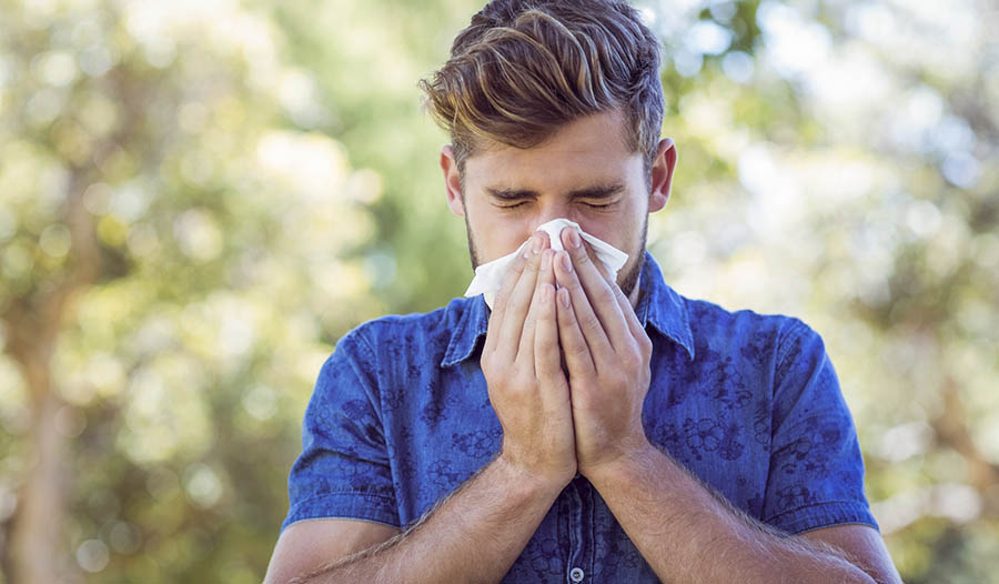 Oil of Oregano for Cold and Flu Season