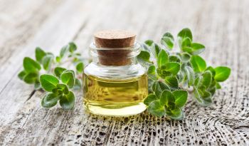 How to Use Oil of Oregano Safely: Dosage, Dilution, and Daily Use