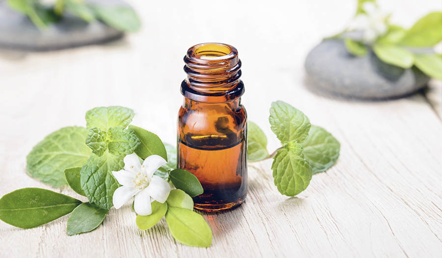 Peppermint Oil - For Gut Health 