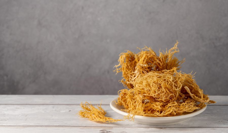 Suplimente de mușchi de mare: Ce sunt acestea? Care sunt beneficiile?