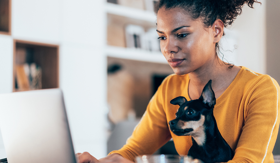 woman sitting in computer's blue light with dog in her lap