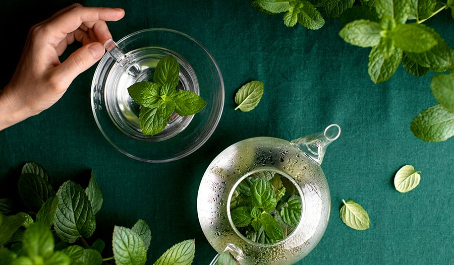 Spearmint tea in pot and cup with hand