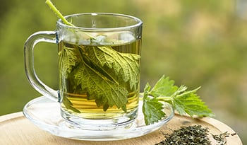 Top Benefits of Stinging Nettle and its Side Effects