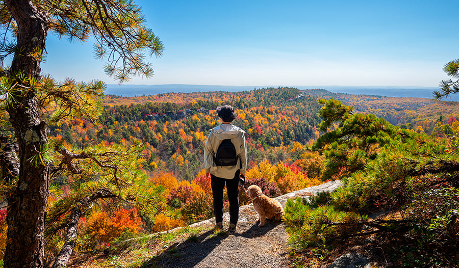 Hiker standing and admiring view at the top with dog