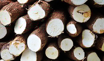 Tapioca Fiber: Boost Fiber Intake + More