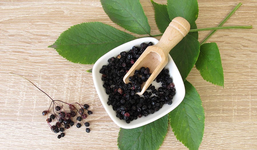 The Benefits of Elderberry