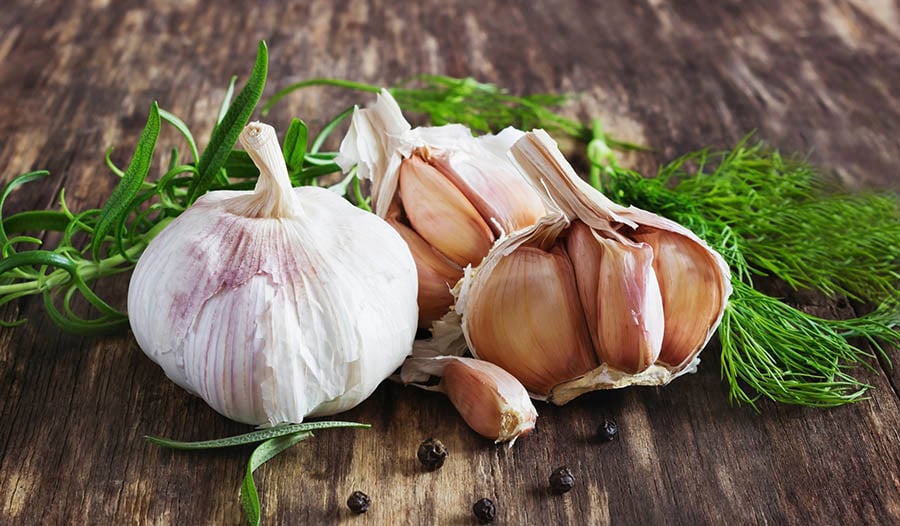 Sources of prebiotics: garlic on a wooden table