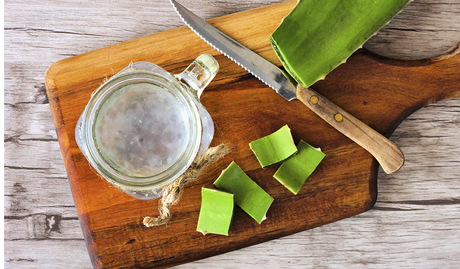 8 Potential Health Benefits of Aloe Vera