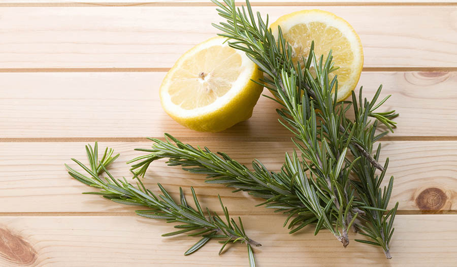 The Health Benefits of Rosemary