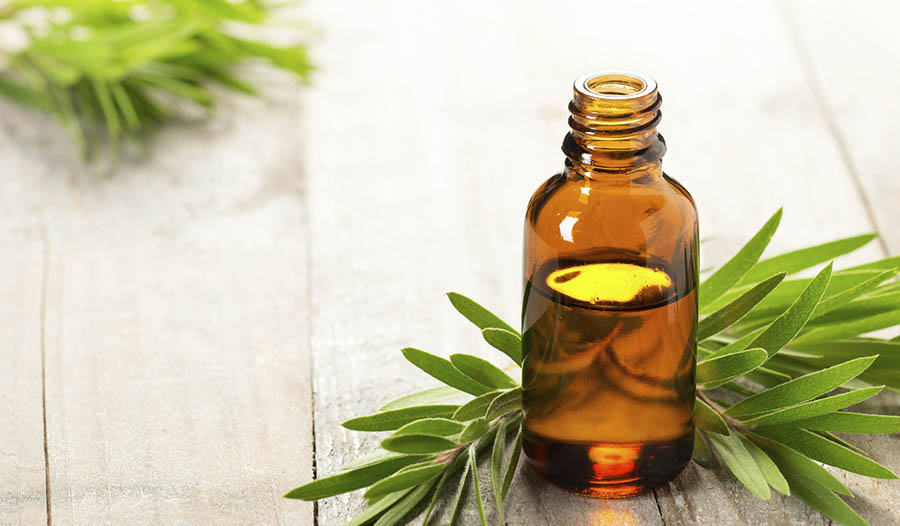 Essential oil bottle on table with pine leaves