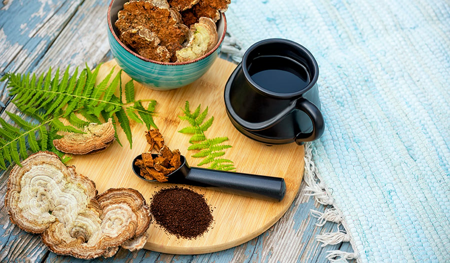 Turkey tail and other mushrooms with tea on table