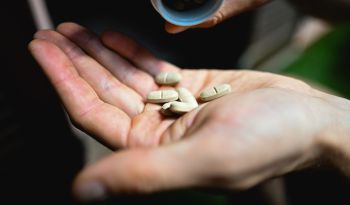 A cink típusai: melyik a legjobb az Ön számára?