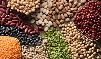 Pourquoi les légumineuses sont peut-être l'aliment le plus sous-estimé de ta cuisine