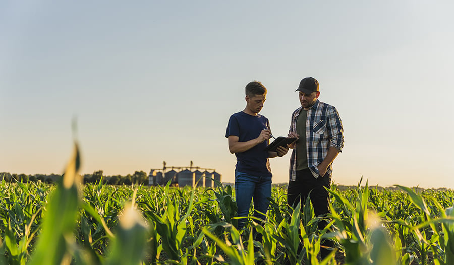 Farmers in field of crops