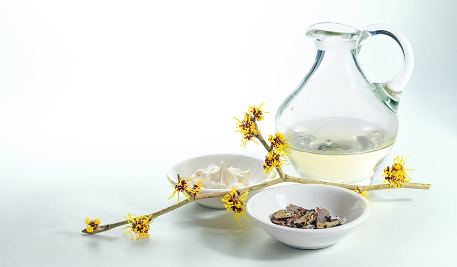 4 Benefits and Use Cases of Witch Hazel